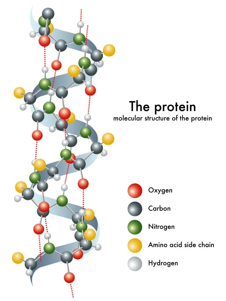 NaCl and protein