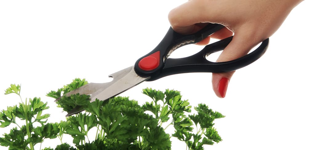 scissors class-1 lever 