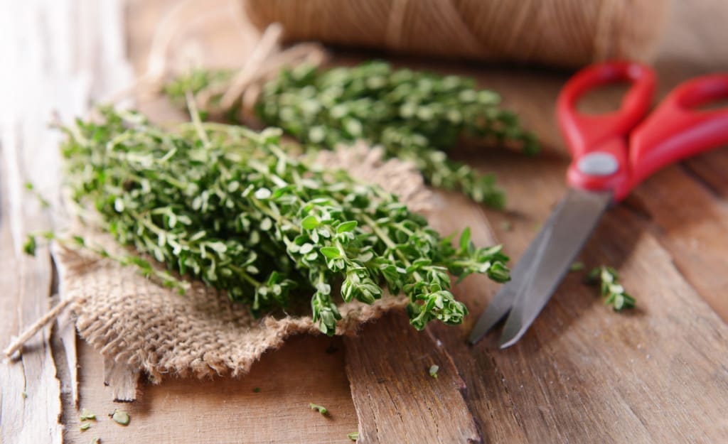 A pair of scissors and thyme on table close-up