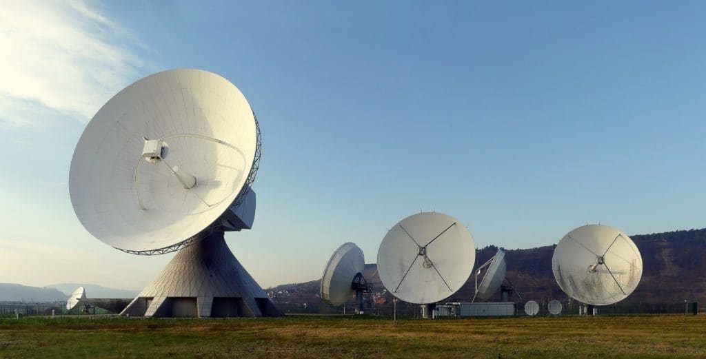 owls owl satellite dish face hunt prey